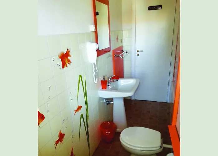 Night & Day * 科森扎